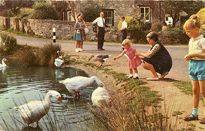 The duck pond at Bembridge Hillway