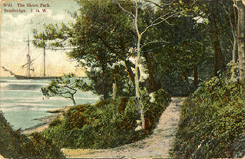 Bembridge Shore path